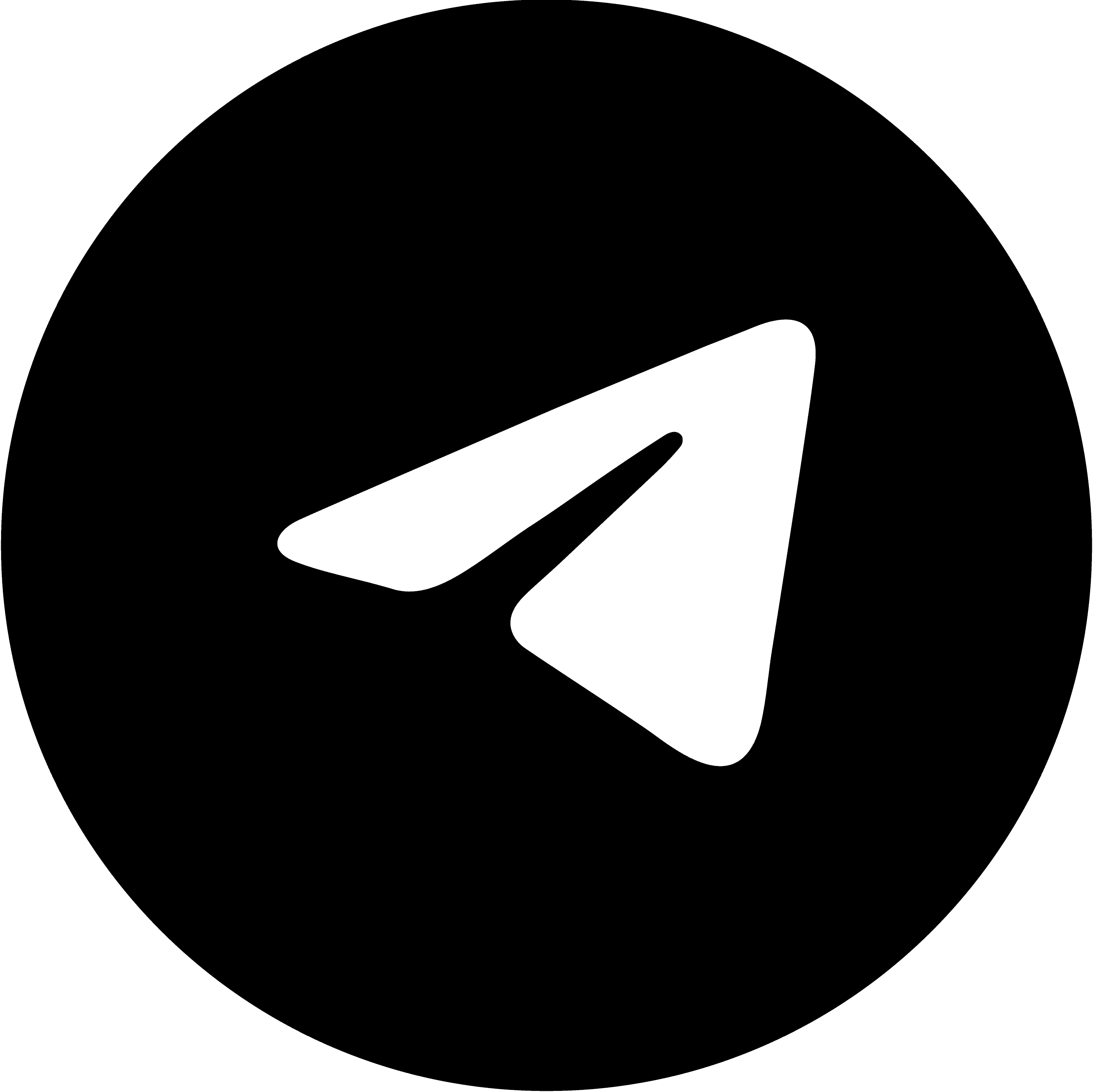 telegram logo